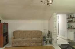 Apartament 1 camera, 79 mp utili, in casa/vila, zona Piata Mihai Viteazu