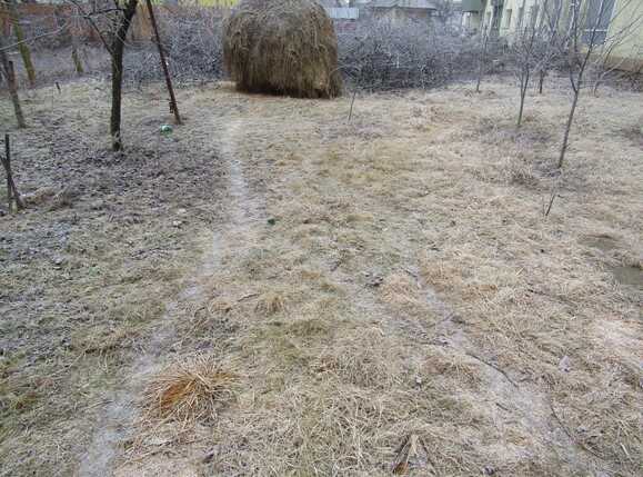 Teren de vânzare Someseni - 24365TV | BLITZ Cluj-Napoca | Poza1