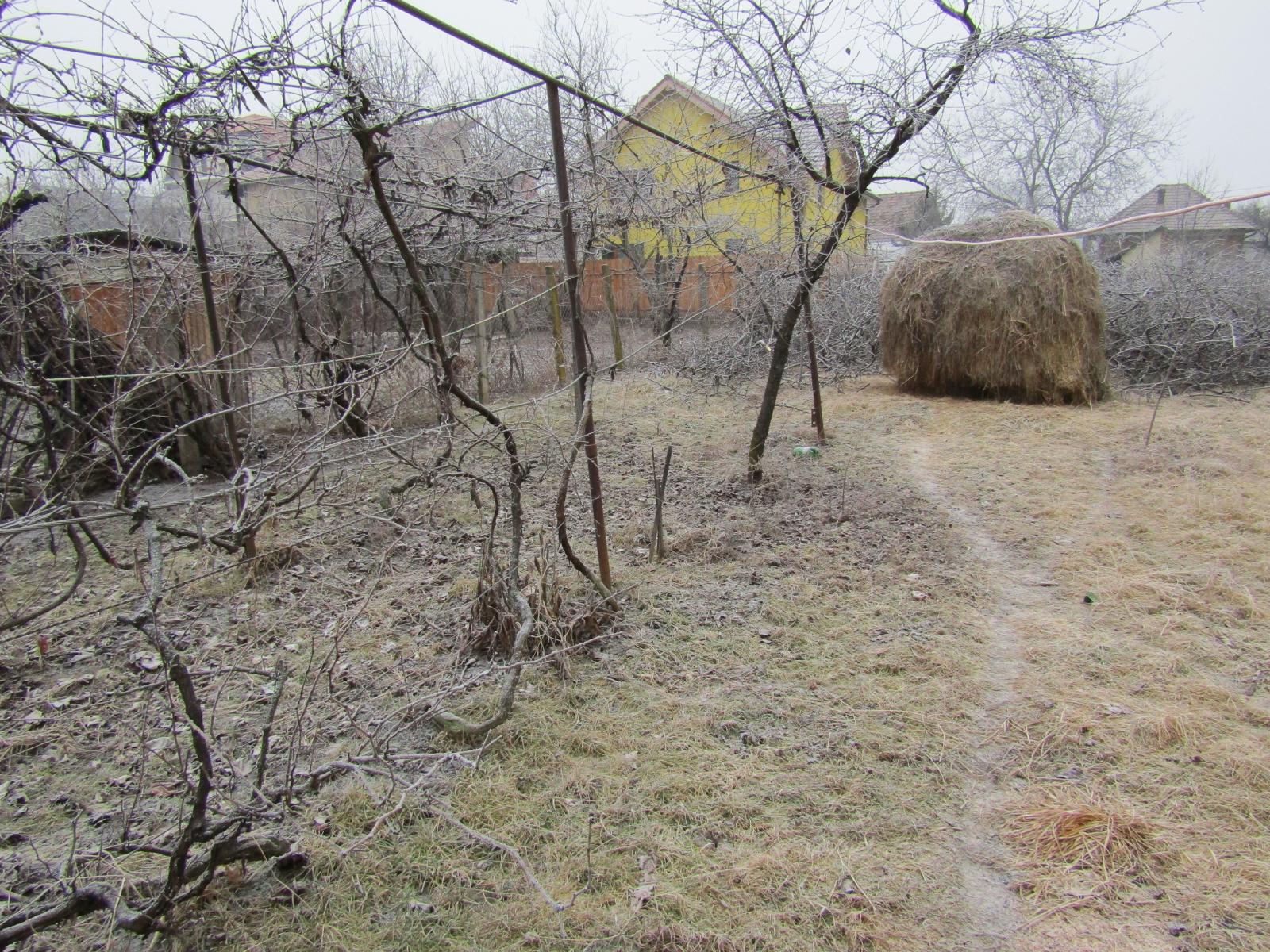 Teren de vânzare Someseni - 24365TV | BLITZ Cluj-Napoca | Poza2