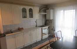 Apartament cu 2 camere decomandate, 55 mp, terasa, parcare, zona strazii Dambovitei