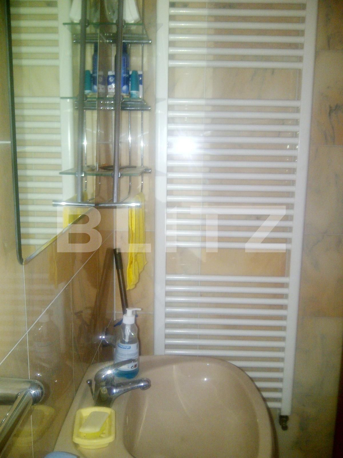 Spațiu birouri de închiriat Bună Ziua - 24421SIB | BLITZ Cluj-Napoca | Poza19