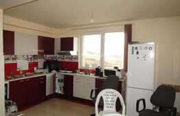 1 camera, 55 mp, imobil nou, zona strazii Romul Ladea