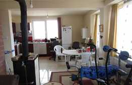 1 camera, 55 mp, imobil nou, zona strazii Romul Ladea