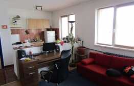 Apartament de vanzare cu 2 camere, 45,69 mp, zona strazii Horea