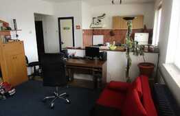 Apartament de vanzare cu 2 camere, 45,69 mp, zona strazii Horea