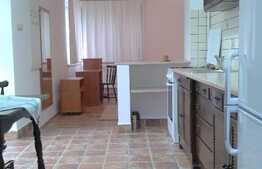Inchiriere garsoniera, 40 mp, mobilata modern, parcare, zona strazii Ady Endre