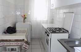 Apartament 2 camere, 43 mp, decomandat, mobilat modern, zona Big