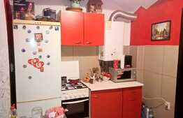 De vanzare garsoniera 30 mp, decomandata, zona USAMV