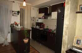 Apartament in vila, 2 camere, Complet mobilat si utilat!47 mp! Zona Cetatii!