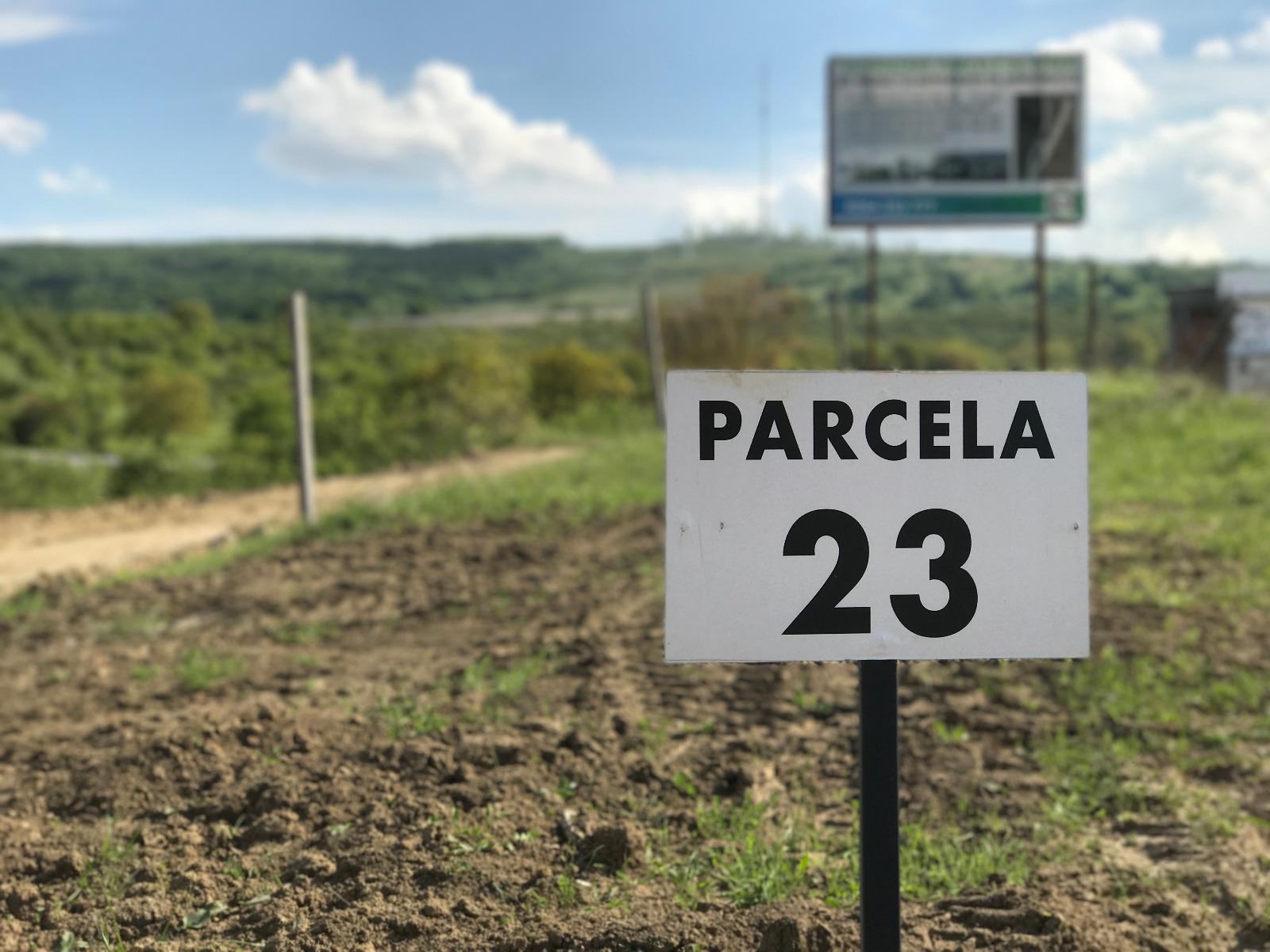 Casa de vânzare 6 camere Borhanci - 24469CV | BLITZ Cluj-Napoca | Poza12