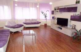 Apartament 5 camere, decomandat, 200 mp, mobilat modern, in casa/vila, zona strazii Uliului