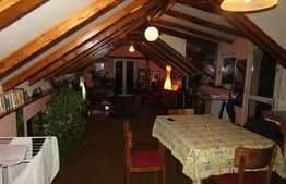 Apartament 2 camere, 70 mp, la mansarda, in casa/vila, zona Piata 14 Iulie