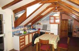 Apartament 2 camere, 70 mp, la mansarda, in casa/vila, zona Piata 14 Iulie