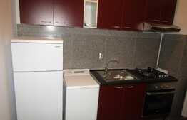 Apartament 2 camere, 47 mp, in casa/vila, zona strazii 21 Decembrie 1989