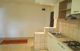 2 camere, 55 mp, decomandat, prima inchiriere, terasa, zona strazii Plopilor