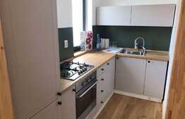  3 camere, 140 mp utili, prima inchiriere, totul nou, zona strazii Hateg