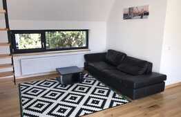  3 camere, 140 mp utili, prima inchiriere, totul nou, zona strazii Hateg