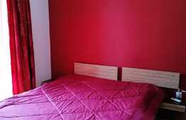 Apartament cu 2 camere, 60 mp, decomandat, terasa 25 mp, garaj, zona Edgar Quinet