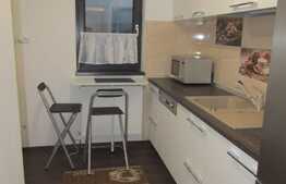 Apartament 2 camere, 58 mp, totul nou, prima inchiriere, garaj, zona Park Lake