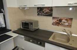 Apartament 2 camere, 58 mp, totul nou, prima inchiriere, garaj, zona Park Lake