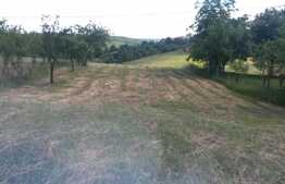 Teren intravilan, 3000 mp, front 18 ml, utilitati la front, Extras de Carte Funciara