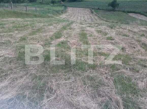 Teren de vânzare Feleacu - 24540TV | BLITZ Cluj-Napoca | Poza5