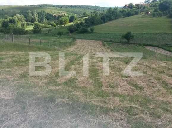 Teren de vânzare Feleacu - 24540TV | BLITZ Cluj-Napoca | Poza3