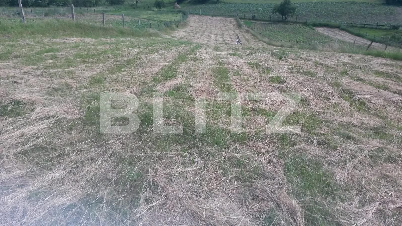 Teren de vânzare Feleacu - 24540TV | BLITZ Cluj-Napoca | Poza5