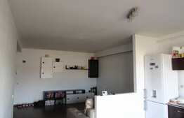 De vanzare apartament  2 camere, 51 mp! Zona strazii Porii!