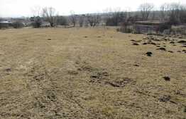 Teren extravilan, 618 mp, front de 16,5 ml, utilitati in zona