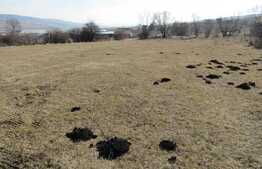 Teren extravilan, 618 mp, front de 16,5 ml, utilitati in zona