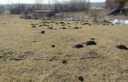 Teren extravilan, 618 mp, front de 16,5 ml, utilitati in zona