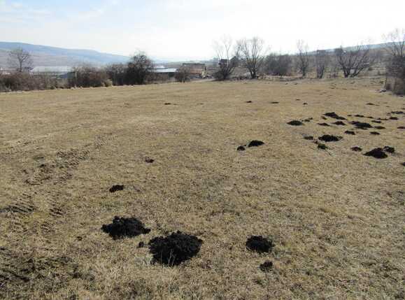 Teren de vânzare Iris - 24543TV | BLITZ Cluj-Napoca | Poza4