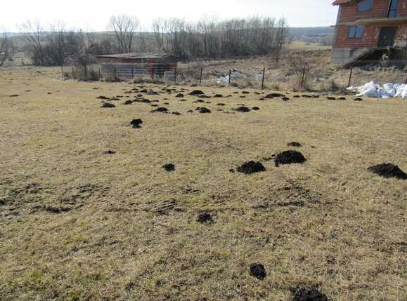 Teren de vânzare Iris - 24543TV | BLITZ Cluj-Napoca | Poza3