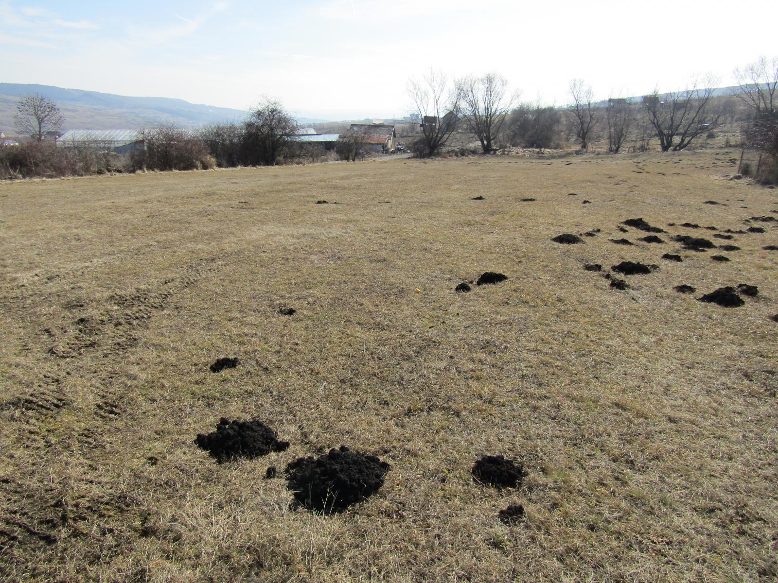 Teren de vânzare Iris - 24543TV | BLITZ Cluj-Napoca | Poza4