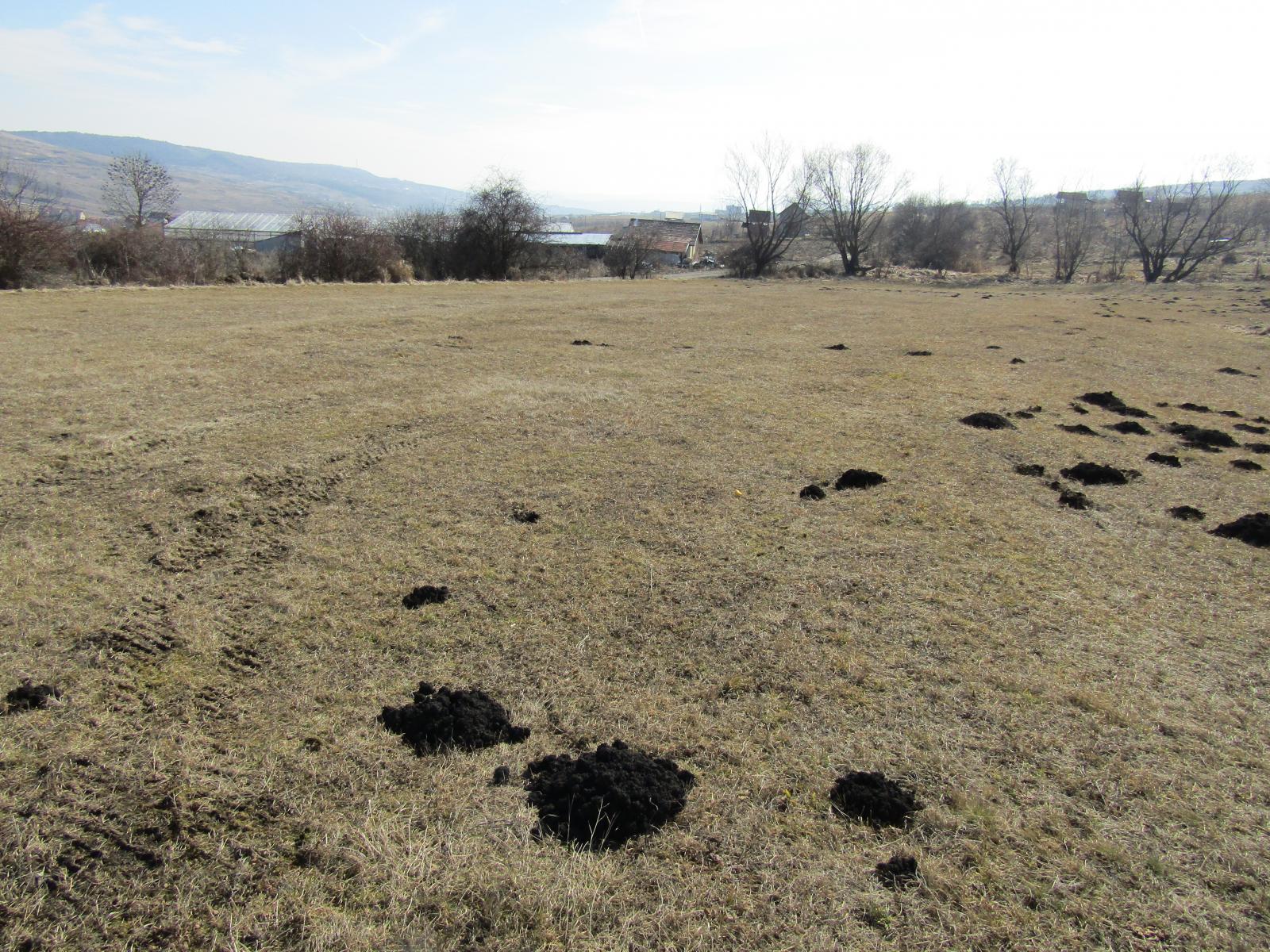 Teren de vânzare Iris - 24543TV | BLITZ Cluj-Napoca | Poza5