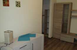 Apartament 2 camere, 50 mp, prima inchiriere, zona Complexului Mercur