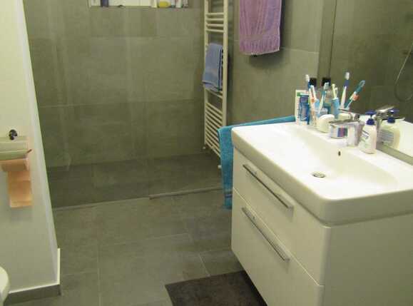 Casa de vânzare 4 camere Gruia - 24571CV | BLITZ Cluj-Napoca | Poza8