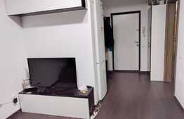 Apartament 2 camere, 42 mp, zona FSEGA