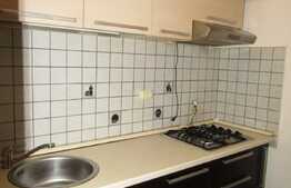 Garsoniera 31 mp, mobilata si utilata, A.C., zona Constantin Brancusi