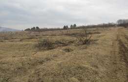 Teren extravilan, 13000 mp, front 40 ml, parcelabil