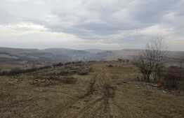 Teren extravilan, 13000 mp, front 40 ml, parcelabil