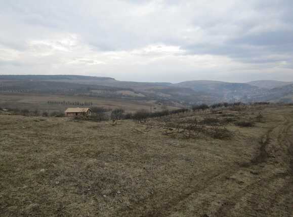 Teren de vânzare Exterior Vest - 24606TV | BLITZ Cluj-Napoca | Poza3