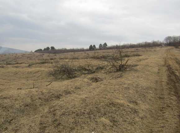 Teren de vânzare Exterior Vest - 24606TV | BLITZ Cluj-Napoca | Poza7