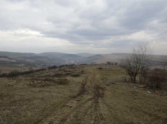 Teren de vânzare Exterior Vest - 24606TV | BLITZ Cluj-Napoca | Poza2