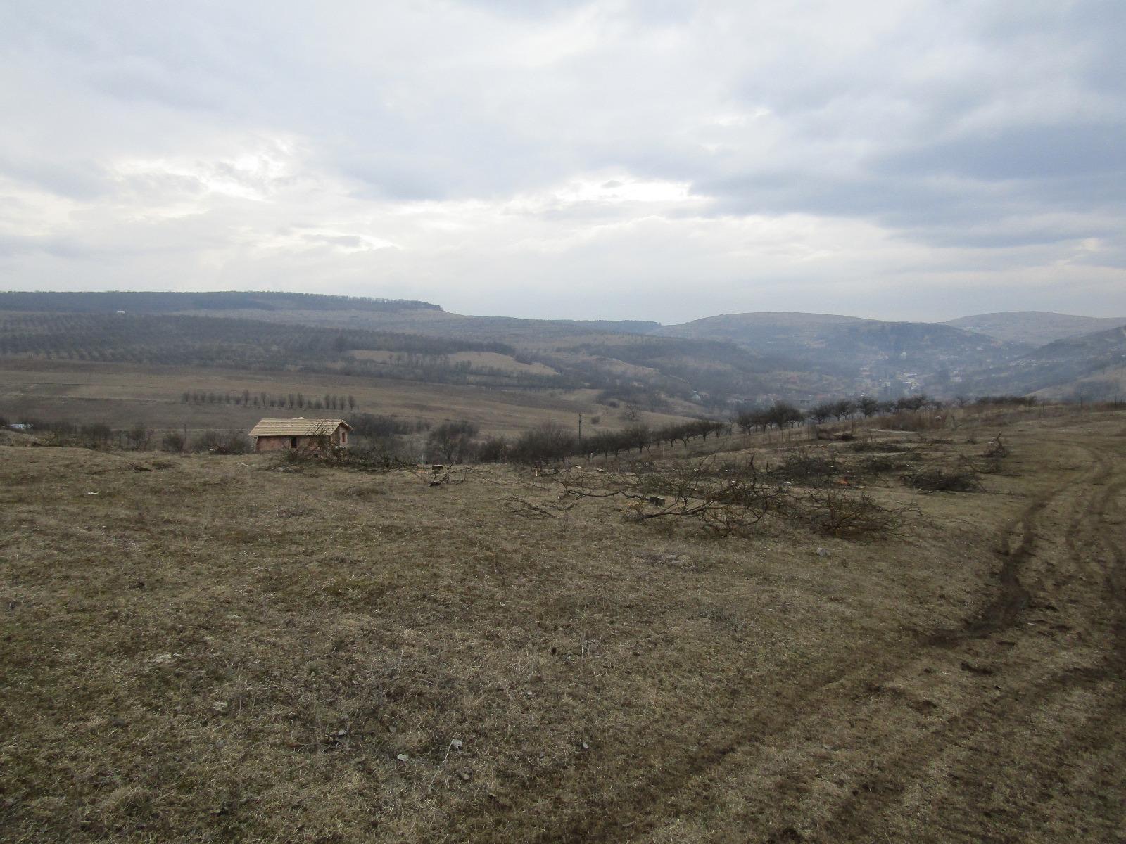 Teren de vânzare Exterior Vest - 24606TV | BLITZ Cluj-Napoca | Poza3