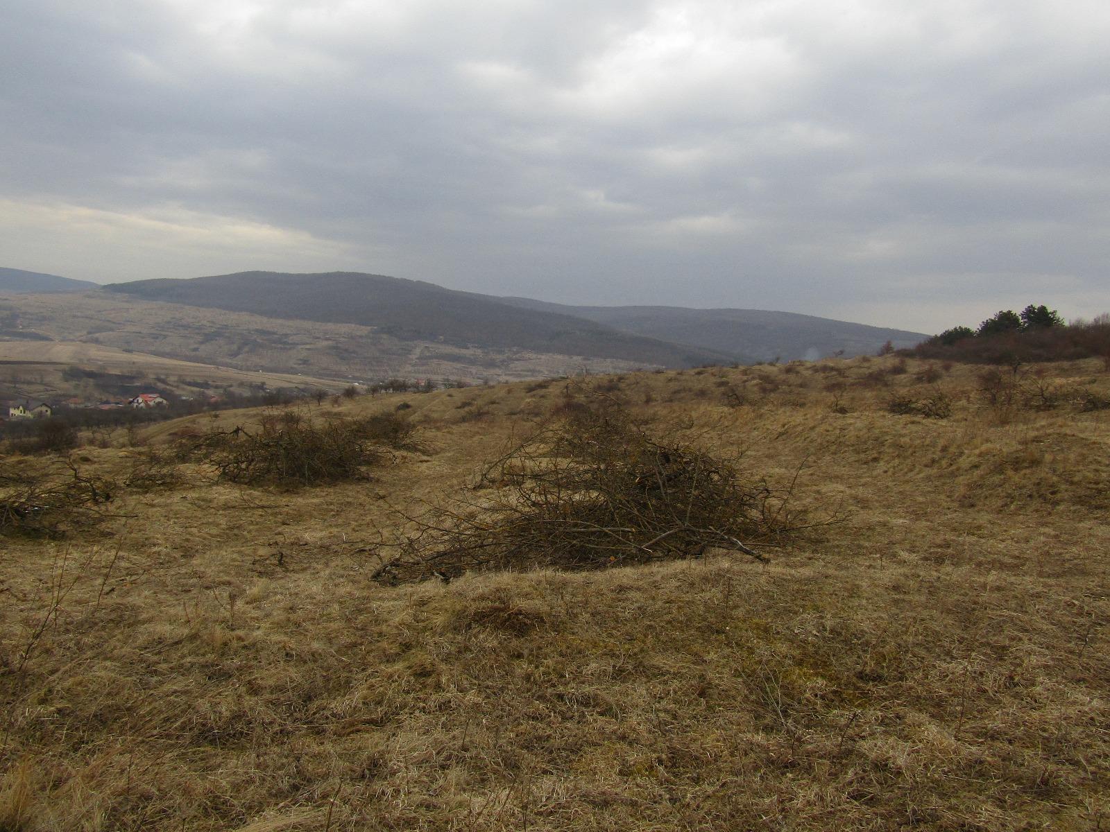 Teren de vânzare Exterior Vest - 24606TV | BLITZ Cluj-Napoca | Poza8