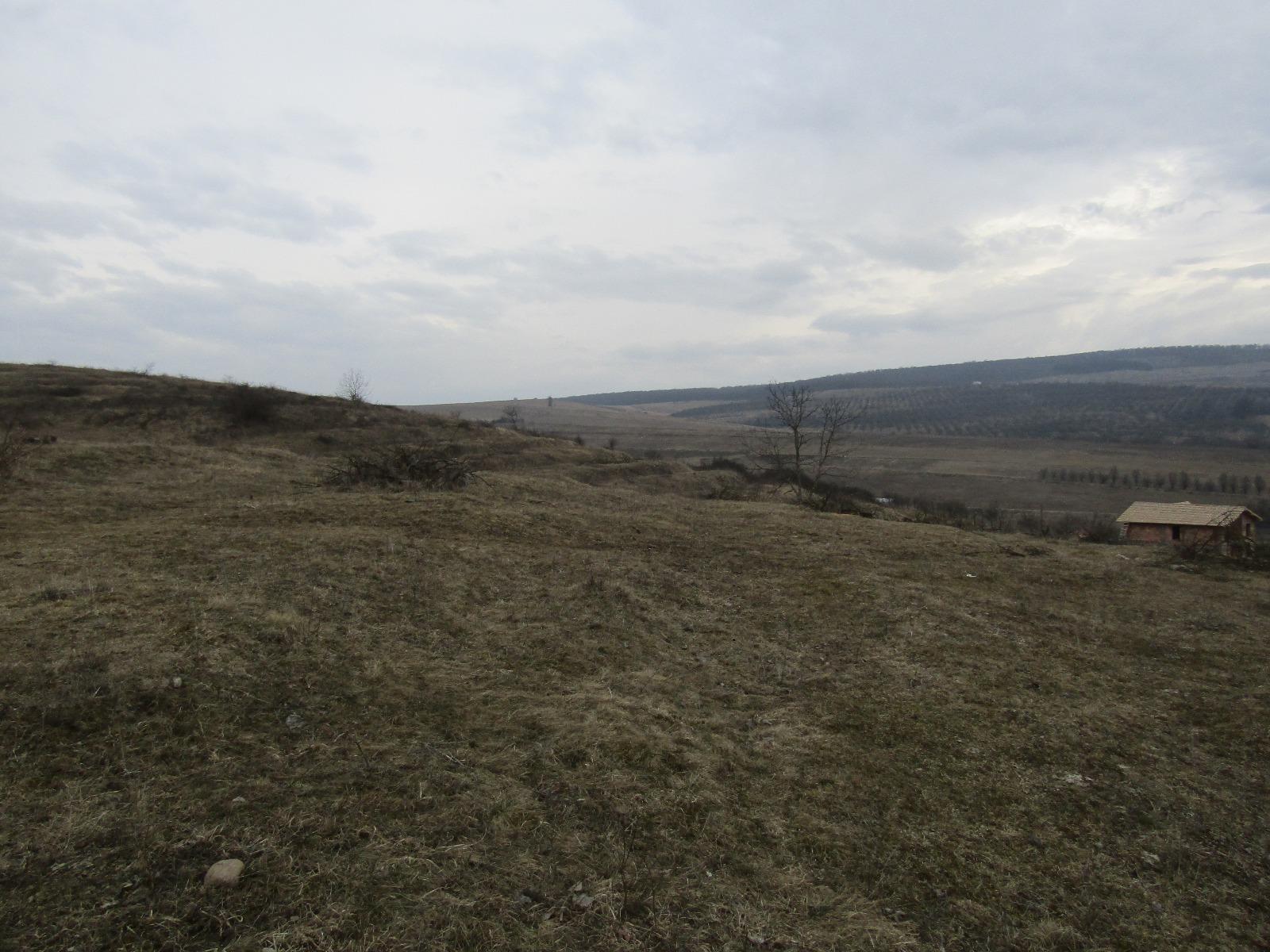 Teren de vânzare Exterior Vest - 24606TV | BLITZ Cluj-Napoca | Poza6