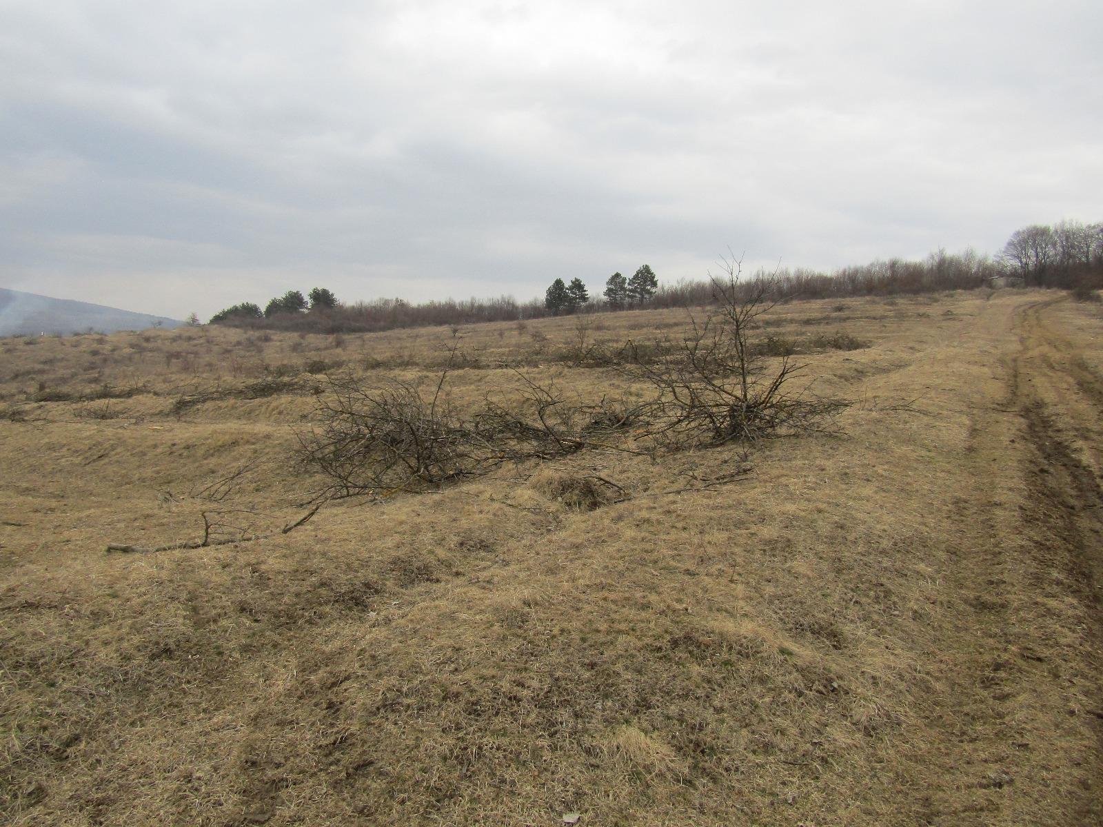 Teren de vânzare Exterior Vest - 24606TV | BLITZ Cluj-Napoca | Poza7