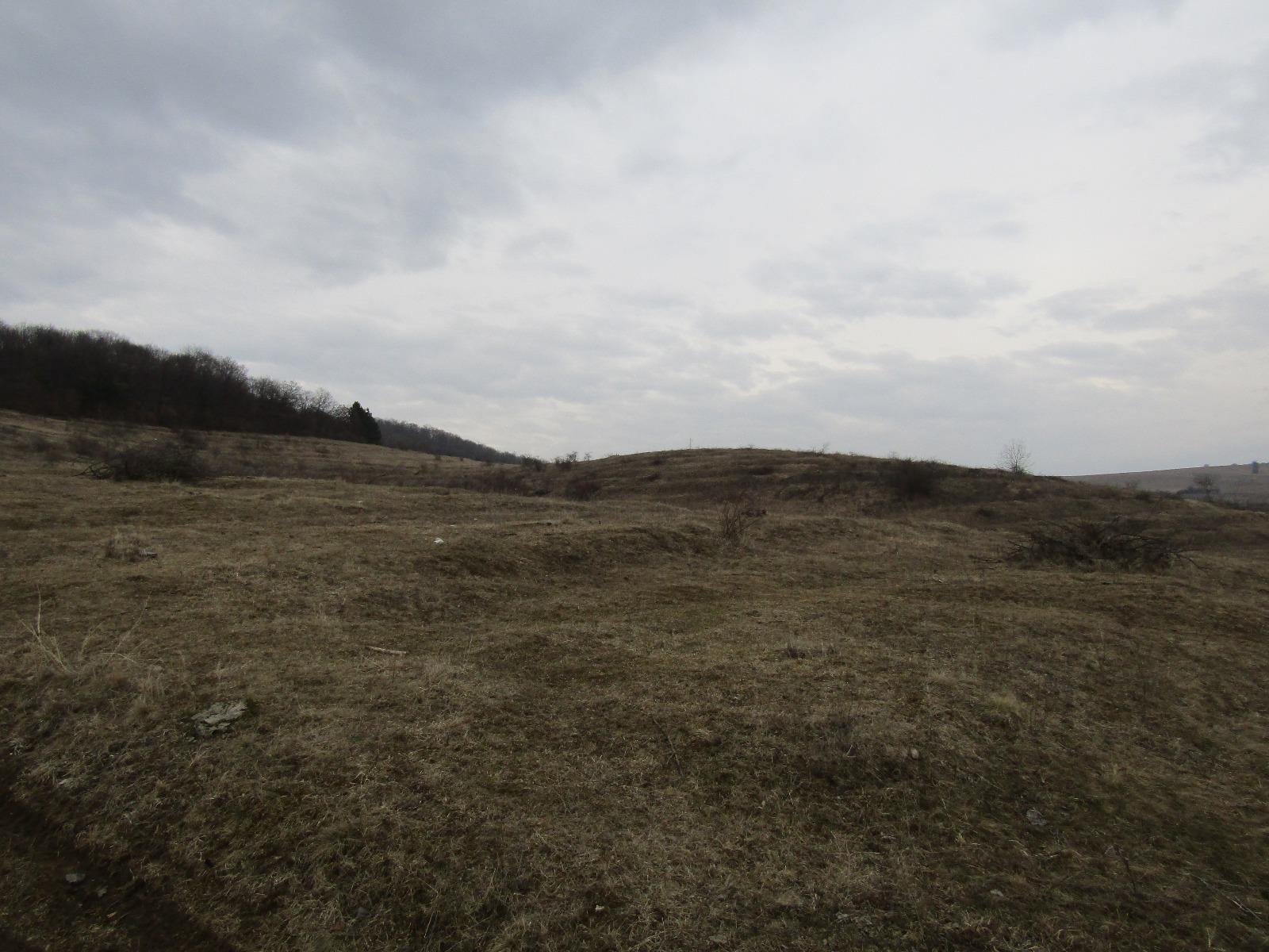 Teren de vânzare Exterior Vest - 24606TV | BLITZ Cluj-Napoca | Poza9